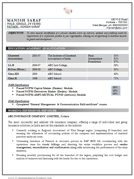 Junior accountant resume sample doc